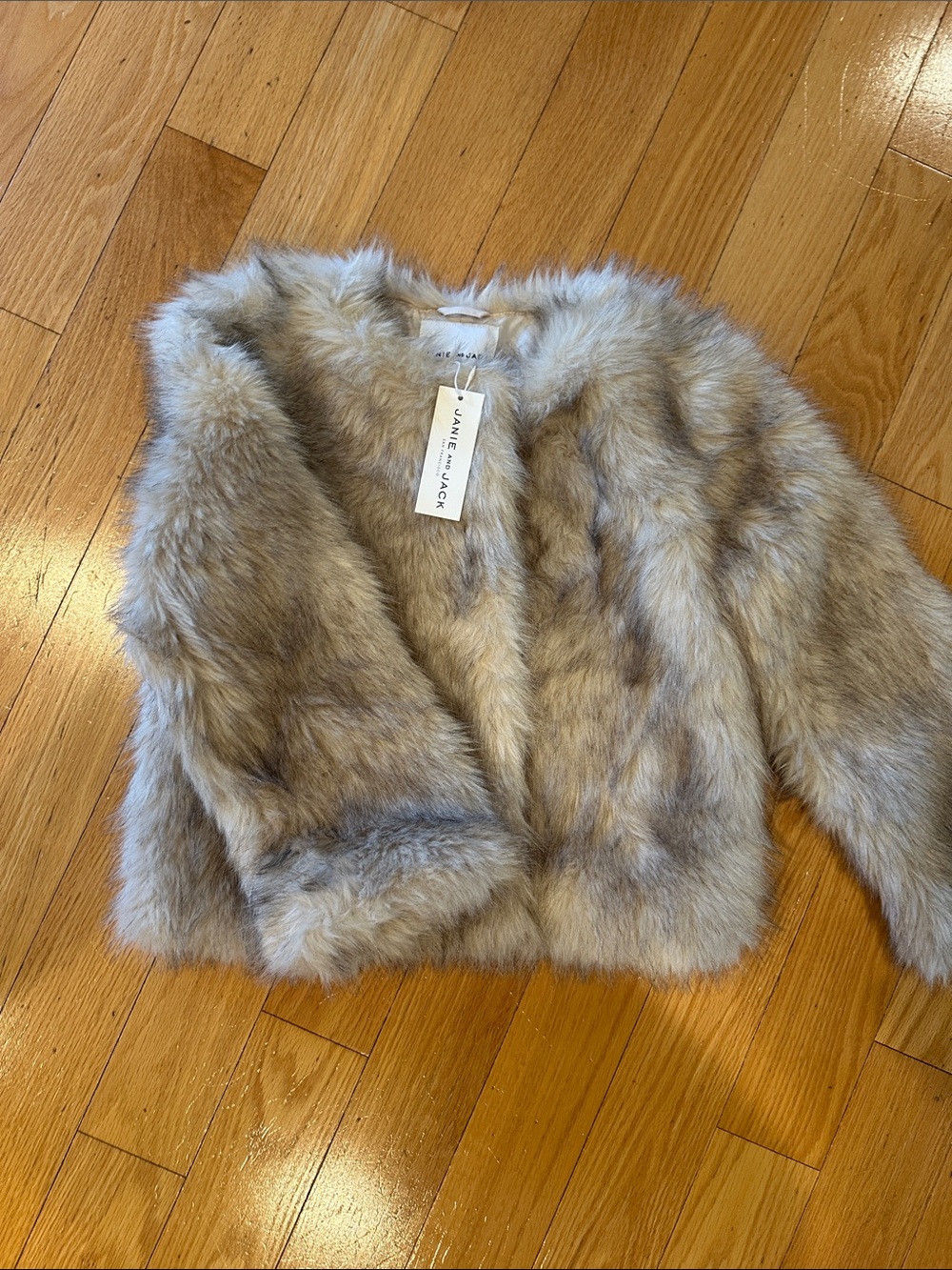 Janie and Jack Plush Faux Fur Jacket in Taupe